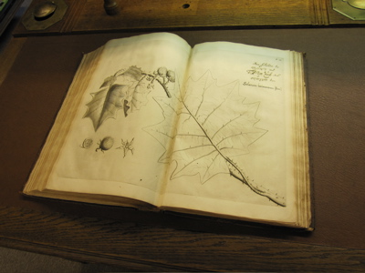 Hortus Malabaricus Malayalam Pdf